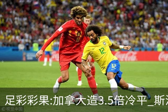 足彩彩果:加拿大造3.5倍冷平 斯洛伐克2-2黑山